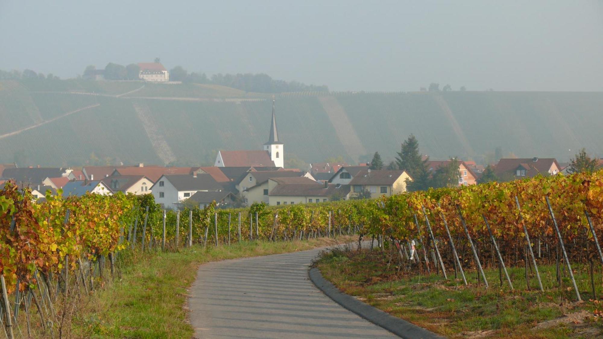 Weingut Herbert Kram Nordheim am Main Exteriör bild