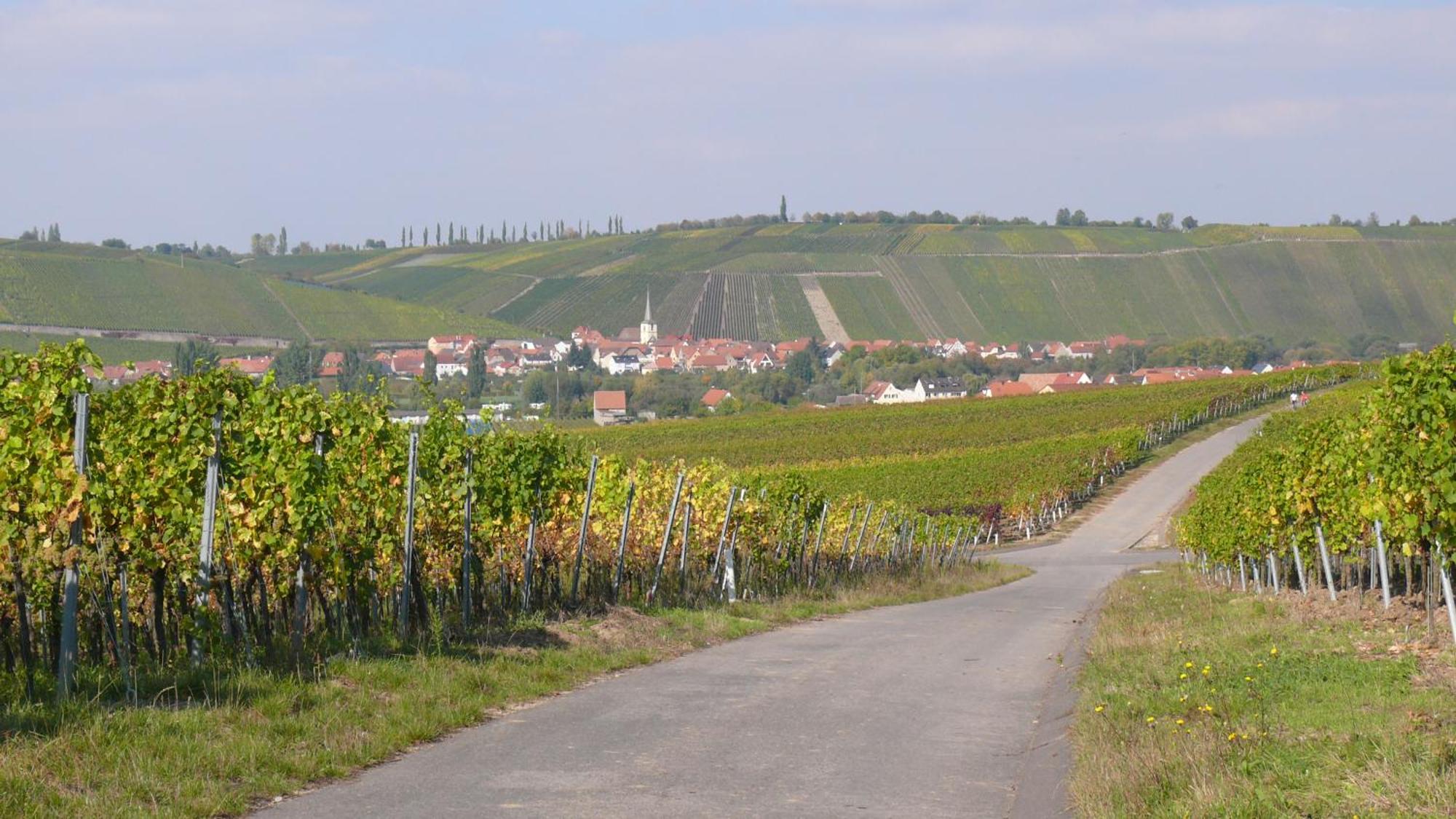 Weingut Herbert Kram Nordheim am Main Exteriör bild